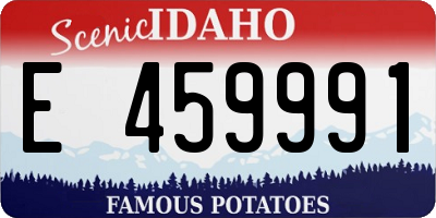 ID license plate E459991