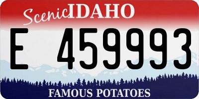 ID license plate E459993