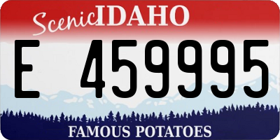 ID license plate E459995
