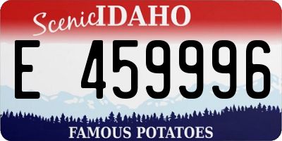 ID license plate E459996