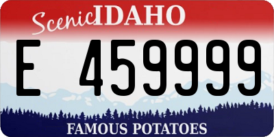ID license plate E459999