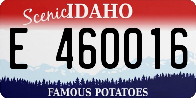 ID license plate E460016