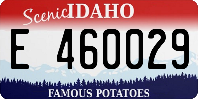 ID license plate E460029