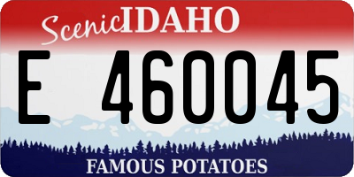 ID license plate E460045