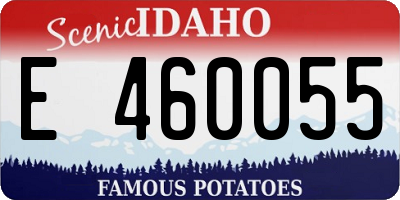 ID license plate E460055