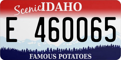 ID license plate E460065