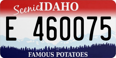 ID license plate E460075