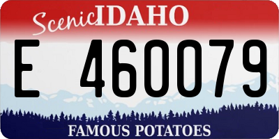 ID license plate E460079