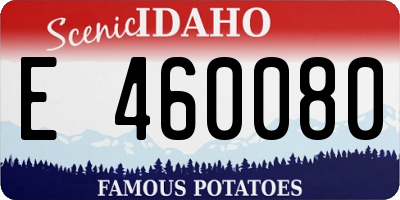 ID license plate E460080