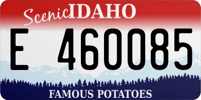 ID license plate E460085