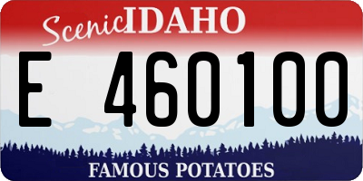 ID license plate E460100