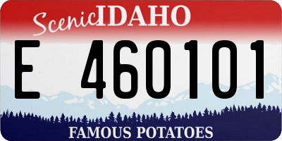 ID license plate E460101