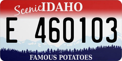 ID license plate E460103