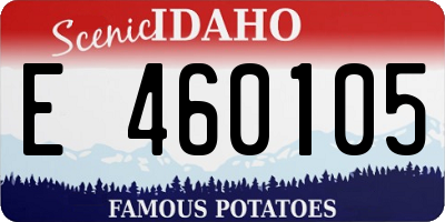 ID license plate E460105