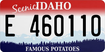 ID license plate E460110