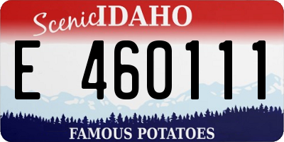 ID license plate E460111