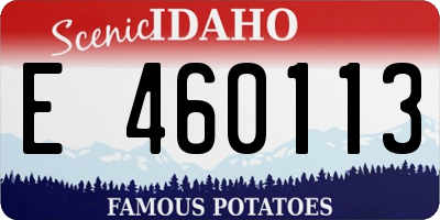 ID license plate E460113