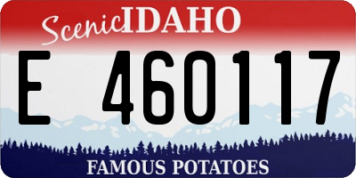 ID license plate E460117