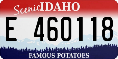 ID license plate E460118
