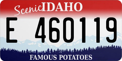 ID license plate E460119
