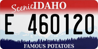 ID license plate E460120