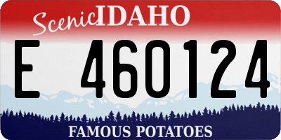 ID license plate E460124