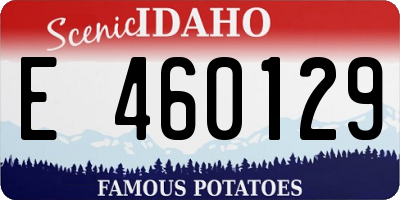 ID license plate E460129