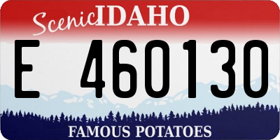 ID license plate E460130