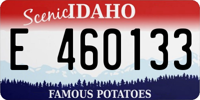 ID license plate E460133