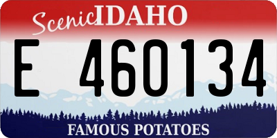 ID license plate E460134