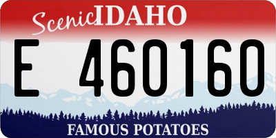 ID license plate E460160