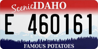 ID license plate E460161