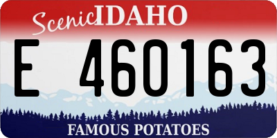 ID license plate E460163