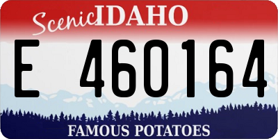 ID license plate E460164