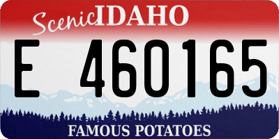 ID license plate E460165