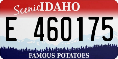ID license plate E460175