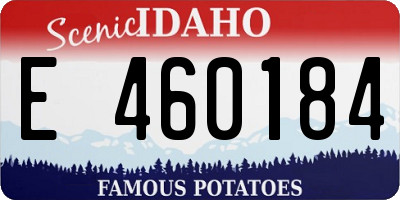 ID license plate E460184