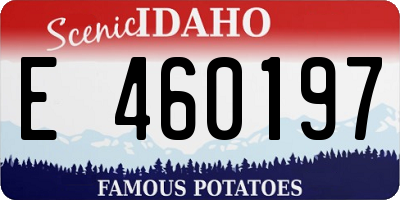 ID license plate E460197