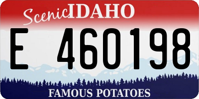 ID license plate E460198