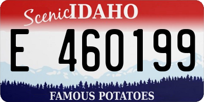 ID license plate E460199