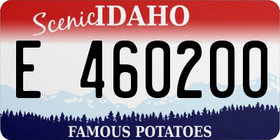 ID license plate E460200
