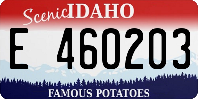 ID license plate E460203