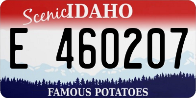 ID license plate E460207