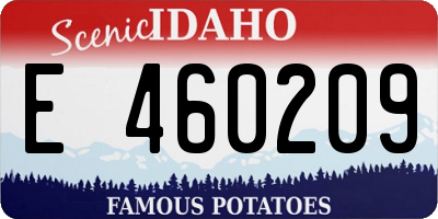 ID license plate E460209