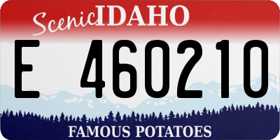 ID license plate E460210