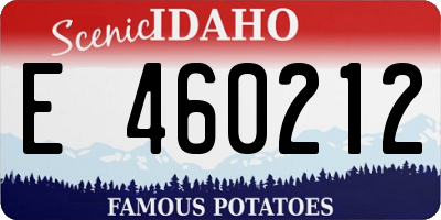 ID license plate E460212