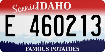 ID license plate E460213