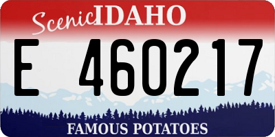 ID license plate E460217