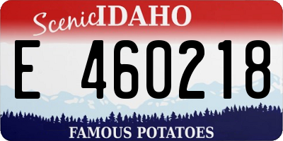ID license plate E460218