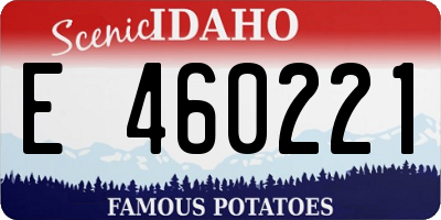 ID license plate E460221